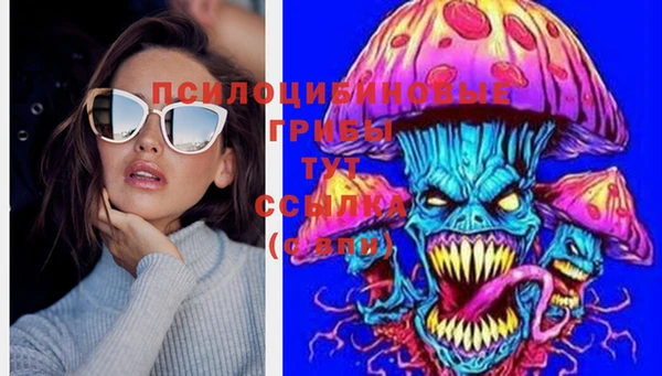 ГАЛЛЮЦИНОГЕННЫЕ ГРИБЫ Алзамай