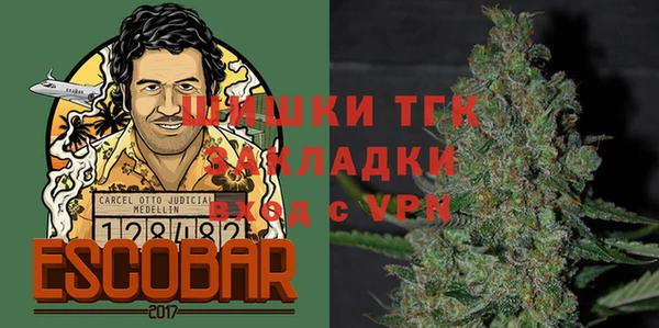 ГАЛЛЮЦИНОГЕННЫЕ ГРИБЫ Алзамай